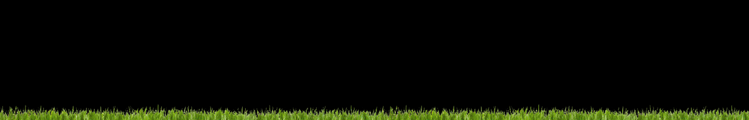 World Cup Banner